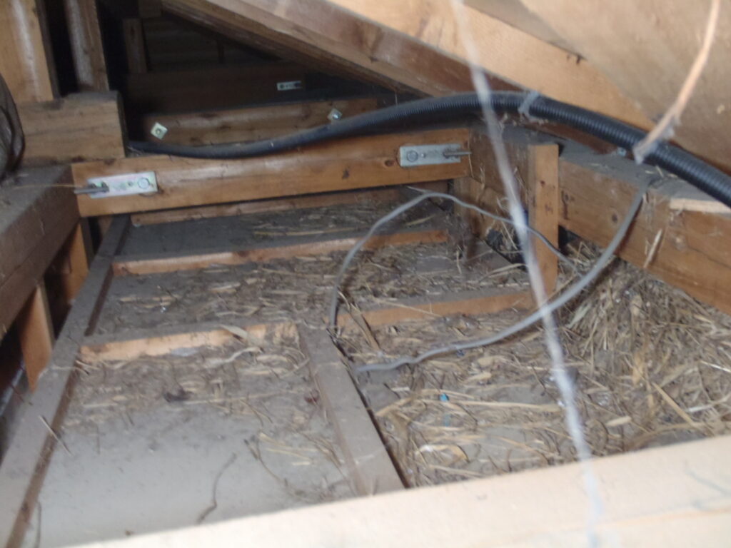屋根と軒天井に鳥の巣がぎっしり詰まっていて小屋裏に入り込んだ形跡があったので、小屋裏の点検の為に潜ってみました。